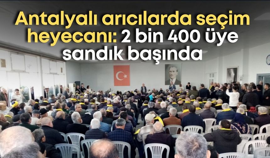 Antalyalı arıcılarda seçim heyecanı: 2 bin 400 üye sandık başında