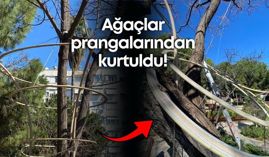Aydın Kanza Parkı’nda ağaçların sesi duyuldu: Kelepçeler yıllar sonra söküldü