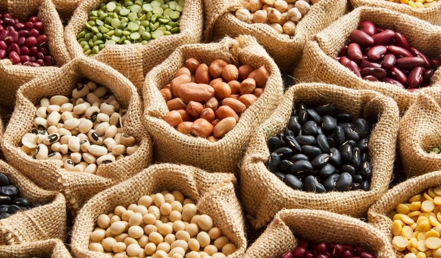 Bakanlıktan baklagillerde bulunan lektine karşı uyarı!