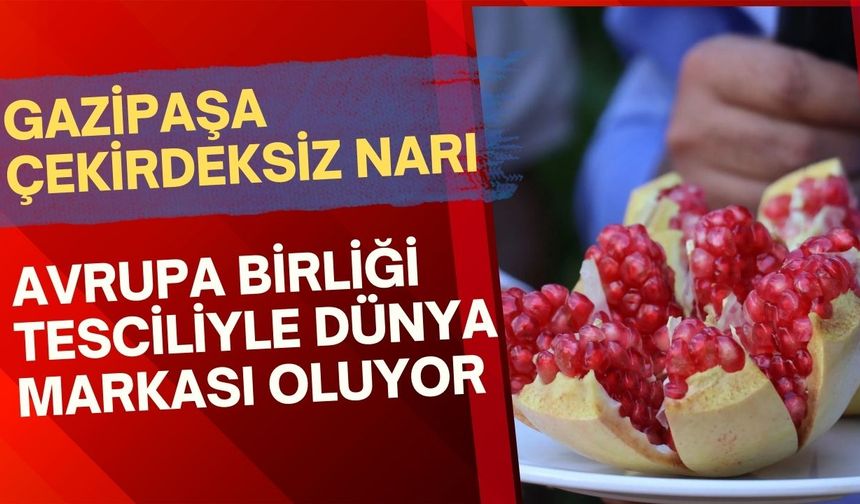 Gazipaşa Çekirdeksiz Narı Avrupa Birliği tesciliyle dünya markası oluyor