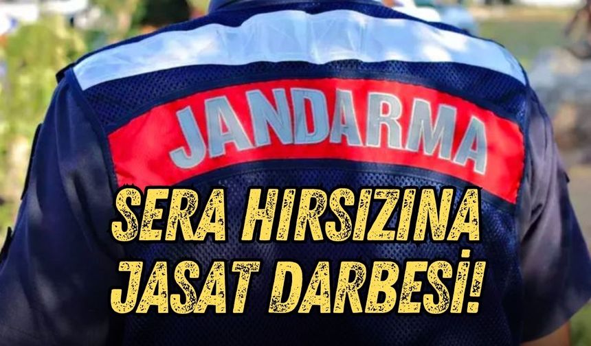 Antalya'da çiftçinin kabusu olan sera hırsızına JASAT darbesi!