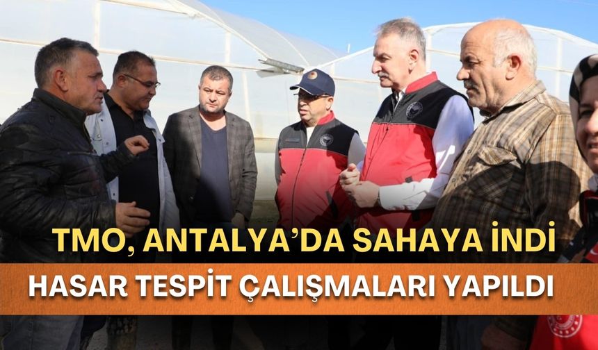 TMO sahaya indi: Hortum sonrası Antalya’da hasar çalışması yapıldı