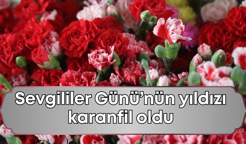 Sevgililer Günü’nde Antalya'dan Avrupa’ya milyonlarca dal karanfil