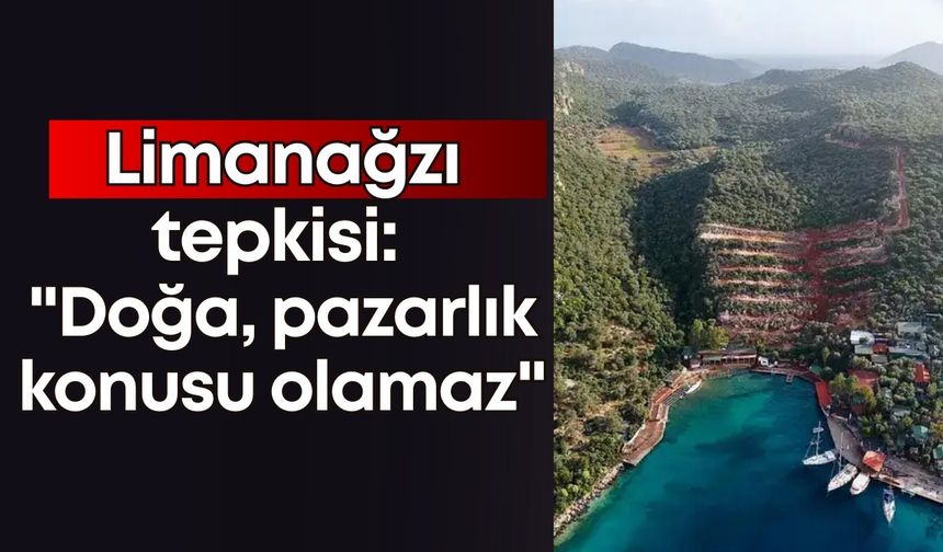 Aliye Coşar'dan Limanağzı tepkisi: "Doğa pazarlık konusu olamaz"