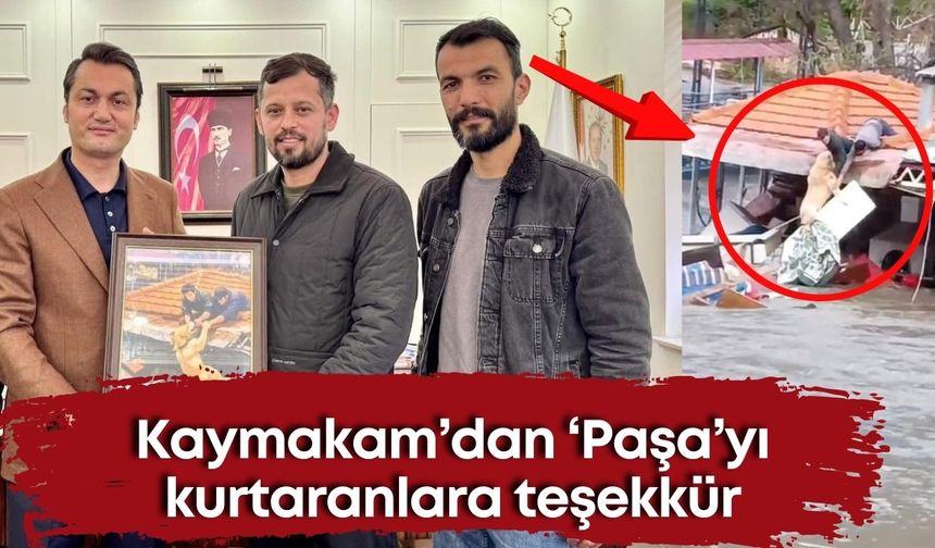 Alanya Kaymakamı’ndan ‘Paşa’yı kurtaranlara teşekkür ve ödül