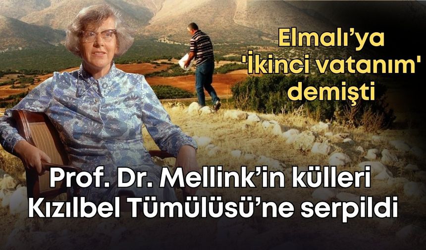 Elmalı’ya 'İkinci vatanım' demişti: Prof. Dr. Mellink’in külleri 2 bin 500 yıllık Kızılbel Tümülüsü’ne serpildi
