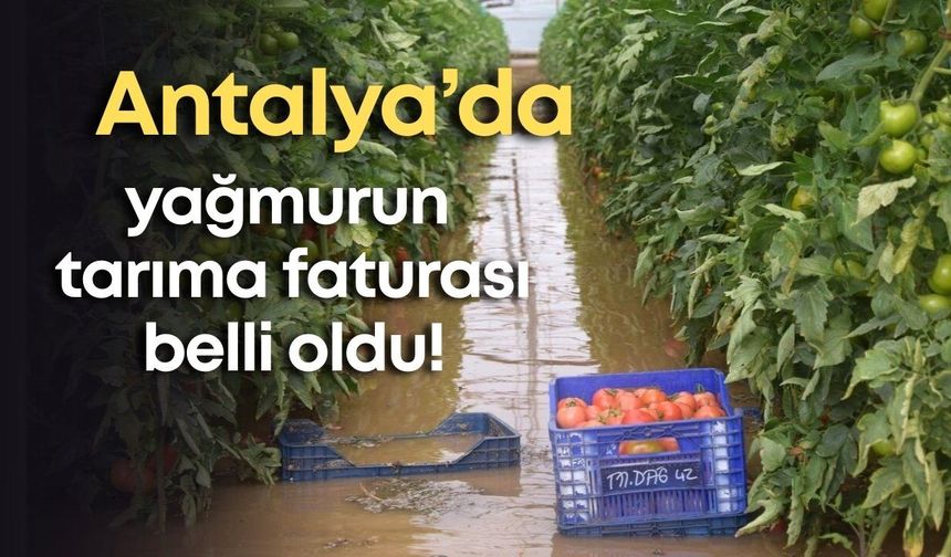 Antalya’da tarım alarm veriyor: 14 bin dekar alan sular altında