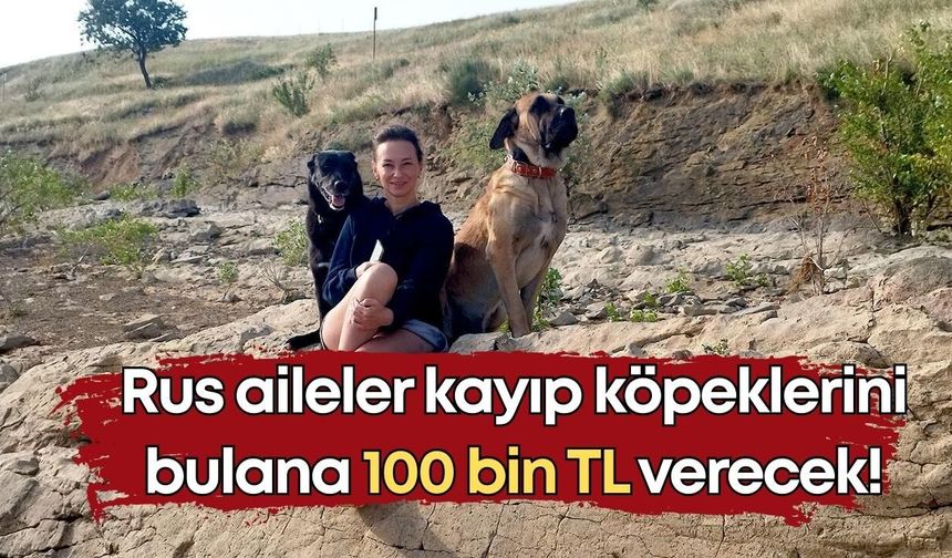 Antalya’da Rus aileler kayıp köpeklerini bulana 100 bin TL verecek!