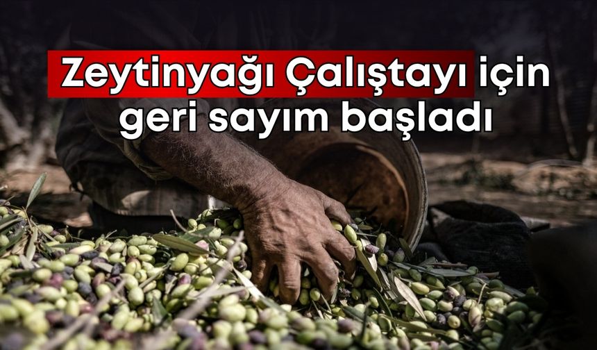 Antalya, Zeytinyağı Çalıştayı'na ev sahipliği yapacak