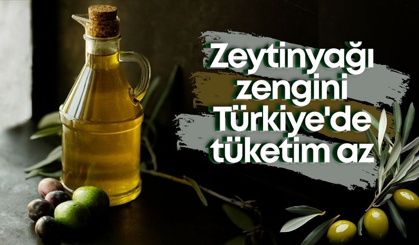 Zeytinyağı zengini Türkiye'de tüketim az