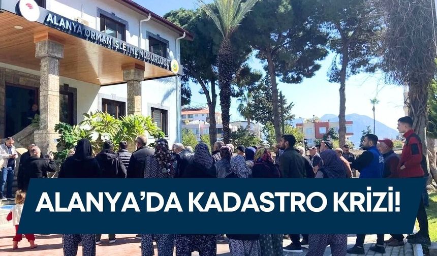 Kadastro krizi Alanya’da gerilim yarattı: 130 yıllık zeytin ağaçlarının kesilmesine tepki