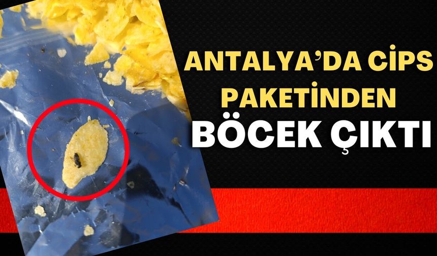 Antalya’da oğluna aldığı cips paketinden böcek çıktı
