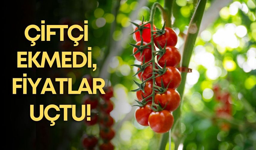 Antalya’da sebzeye bayram dopingi: Domates 80 TL’ye fırladı!