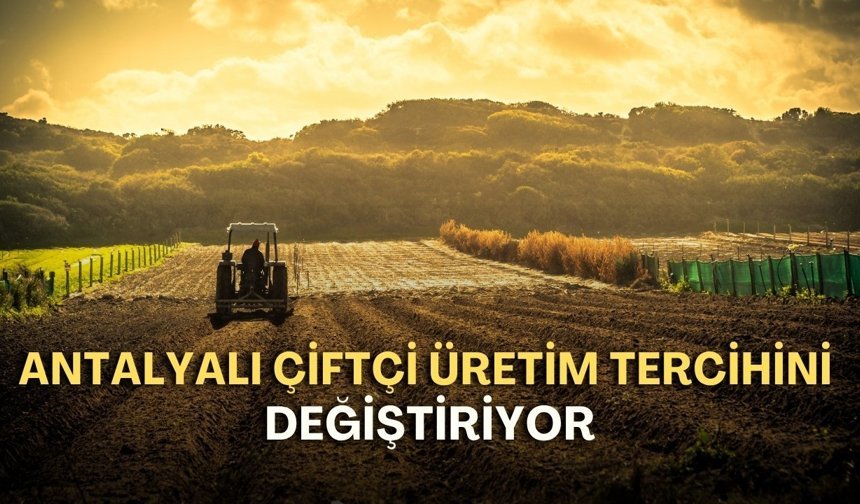Antalyalı çiftçi üretim tercihini değiştiriyor! Üretim maliyeti yüksek ürünler bu yıl ekilmedi