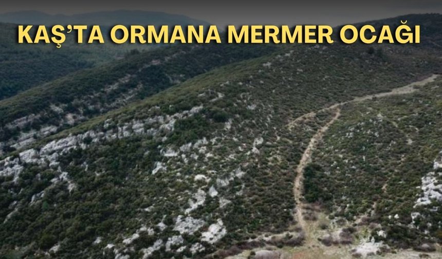 Kaş’ta ormana mermer ocağı: 25 futbol sahası büyüklüğünde olacak!