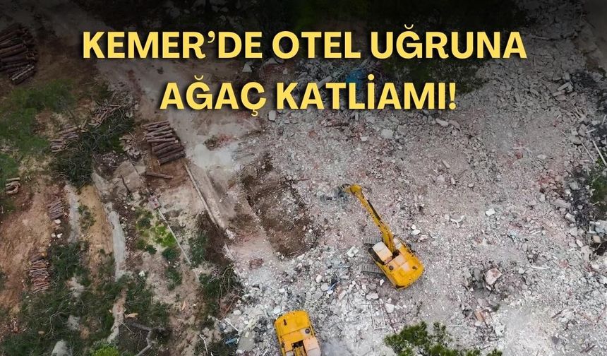 Kemer’de otel uğruna ağaç katliamı!