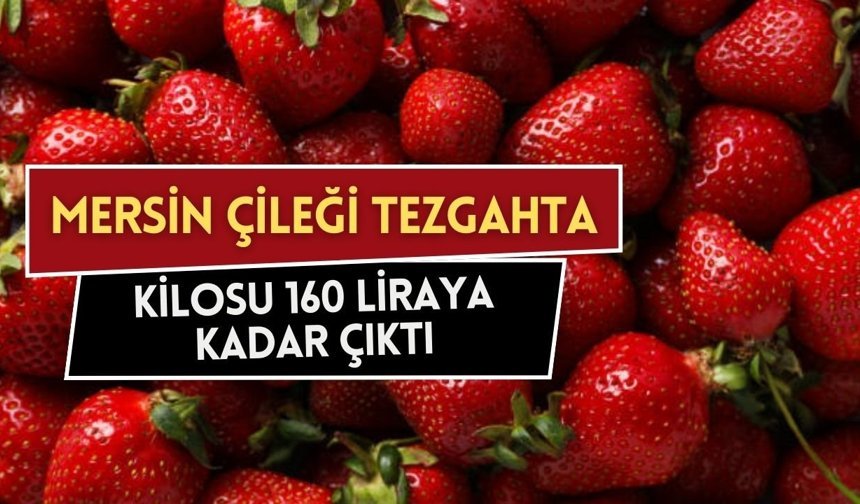 Mersin çileği tezgahta: Kilosu 160 liraya kadar çıktı