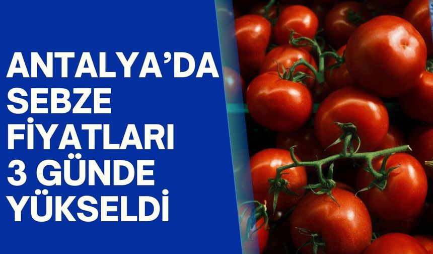 Antalya’yı sel vurdu, halde fiyatlar uçtu: Domates 3 günde 20 TL zamlandı