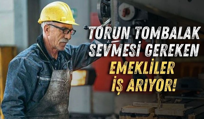 Torun tombalak sevmesi gereken emekliler iş arıyor! 60 yaş üstü rakamlar üzdü