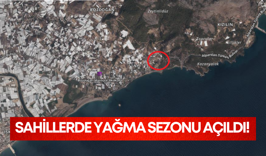 Sahillerdeki orman arazilerinde yağma sezonu açıldı!