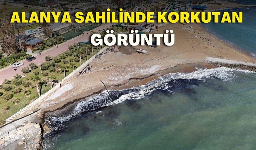 Alanya Sahilinde korkutan görüntü! Siyah tabakanın sırrı çözüldü