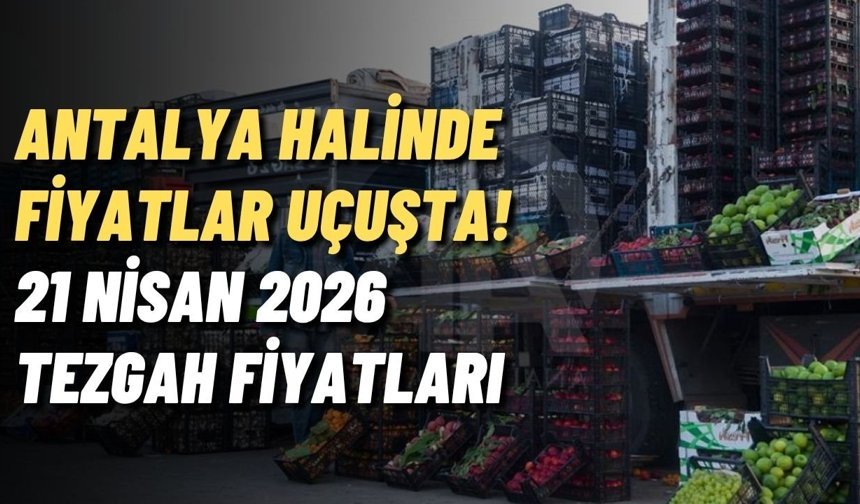 Antalya halinde fiyatlar uçuşta! 21 Nisan 2026 tezgah fiyatları
