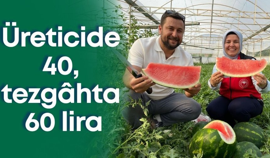 Antalya’da ilk karpuz heyecanı! Üreticide 40, tezgâhta 60 lira