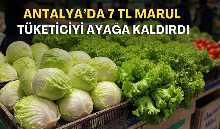 Antalya’da 7 TL’lik marul krize neden oldu! Bakanlık harekete geçti