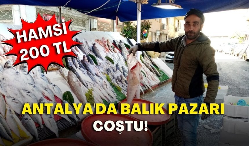 Antalya'da balık pazarı coştu! Hamsi 200 TL
