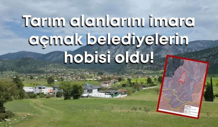 Tarım alanlarını imara açmak belediyelerin hobisi oldu!