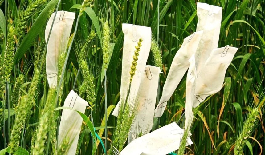 Antalya tarımında önemli adım!