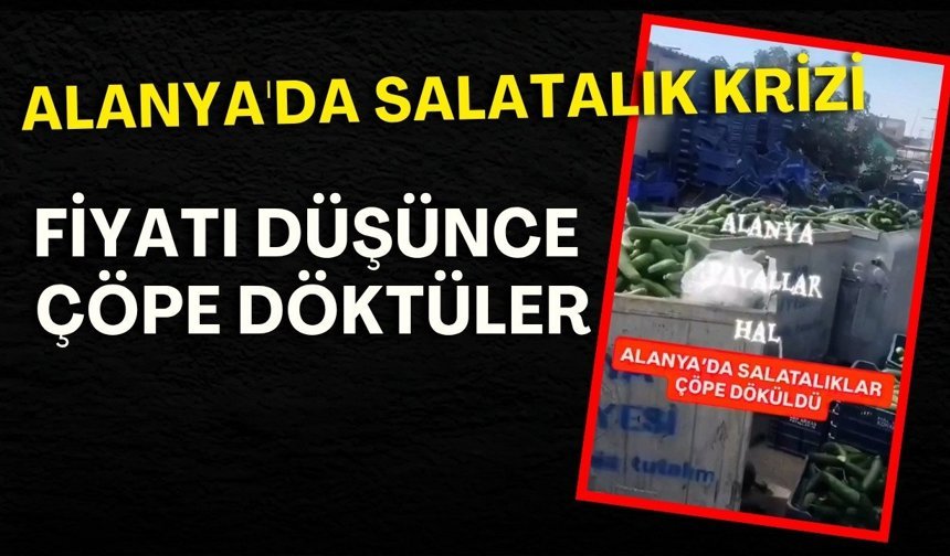 Alanya'da salatalık krizi! Fiyatı düşünce çöpe döktüler