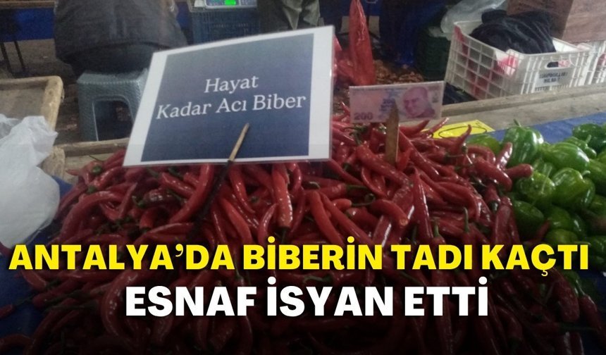 Antalya’da biberin tadı kaçtı, esnaf isyan etti: “Hayat kadar acı”