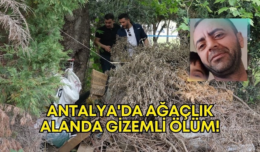 Antalya'da ağaçlık alanda gizemli ölüm!
