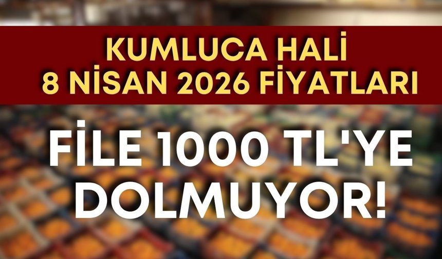 Kumluca Hali 8 Nisan 2026 fiyatları: File 1000 TL'ye dolmuyor!