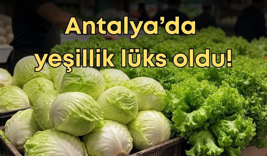 Antalya’da yeşillik lüks oldu: Marul fiyatları zirvede