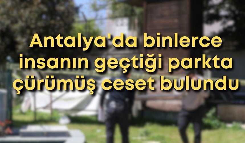 Yok artık! Antalya'da her gün binlerce insanın geçtiği parkta çürümüş ceset bulundu