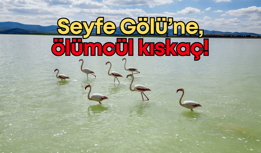Seyfe Gölü’ne ölümcül kıskaç!