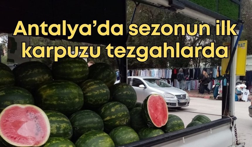 Antalya’da sezonun ilk karpuzu tezgahlarda: Fiyatı dikkat çekti
