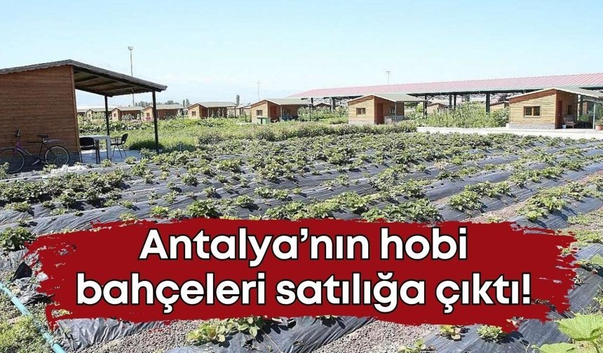 Antalya’da hobi bahçelerinin fiyatı 250 bin TL’ye kadar düştü!