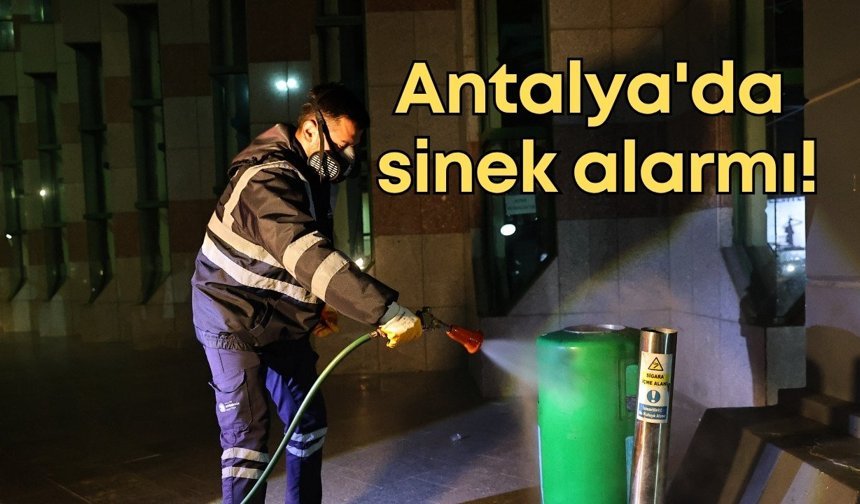 Antalya'da sinek alarmı: Ekipler gece-gündüz ilaçlıyor