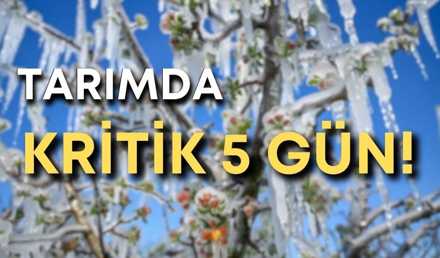 Antalya tarımında kritik 5 gün: Zirai don afeti geliyor