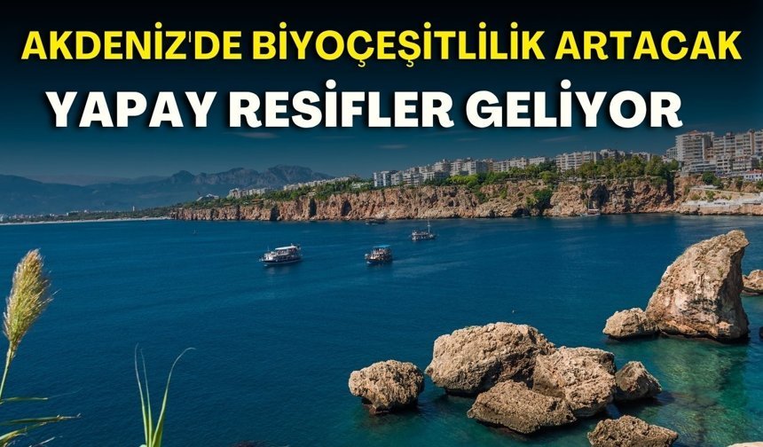 Akdeniz'de biyoçeşitlilik artacak! Yapay resifler geliyor