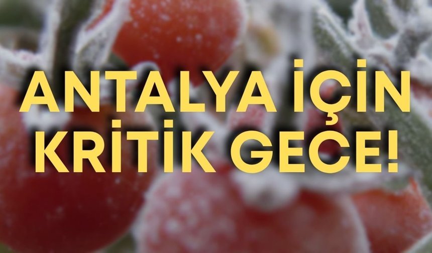 Antalya için kritik gece! Zirai don uyarısı: Saat 21.00’de başlıyor