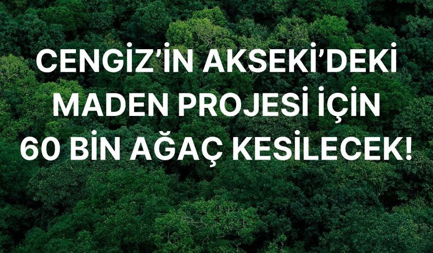 Cengiz’in Akseki’deki maden projesi için 60 bin ağaç kesilecek!