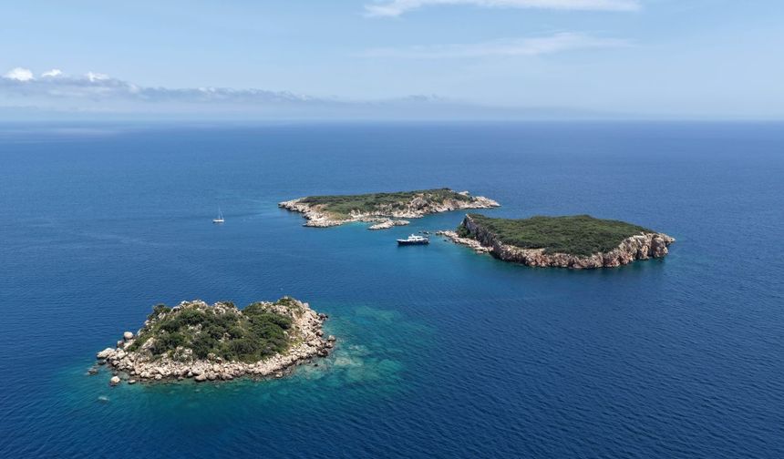 Vali Şahin ilk kez daldı: Deniz altındaki tehlikeye dikkat çekti
