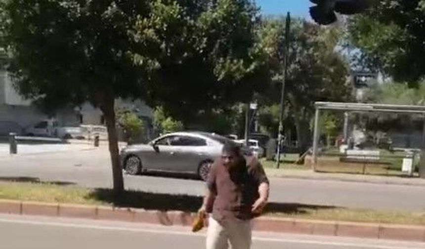Antalya'da kargalar tatilciyi sokak ortasında kovaladı