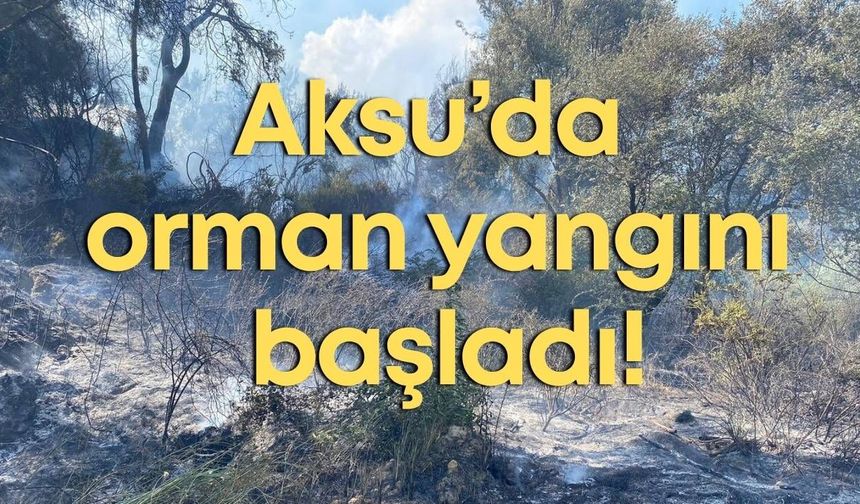 Aksu’da orman yangını başladı!