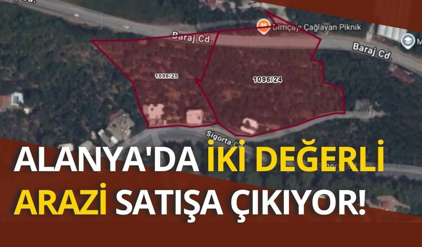Alanya'da iki değerli arazi satışa çıkıyor!