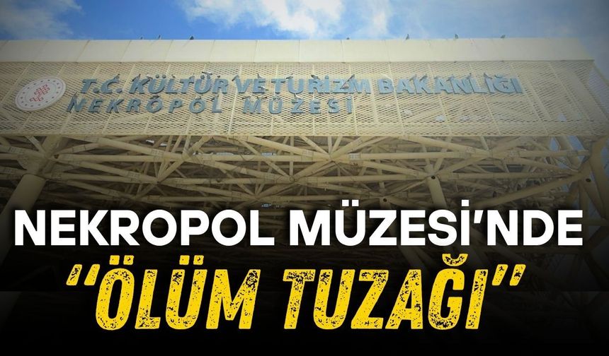 Antalya Nekropol Müzesi’nde “ölüm tuzağı” Kuşlar ağlarda can veriyor!